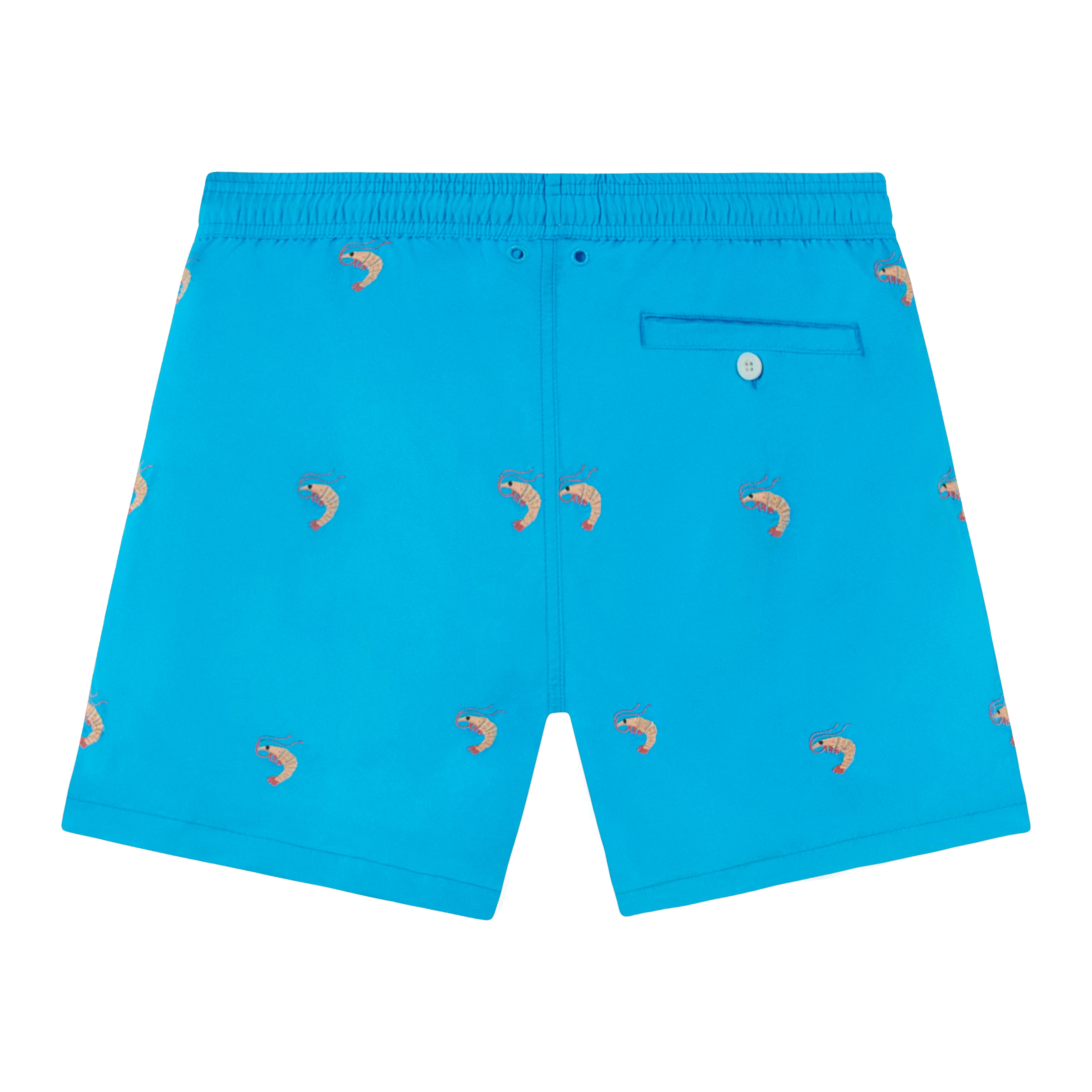 Gold Edition Turquoise Mini Gamba