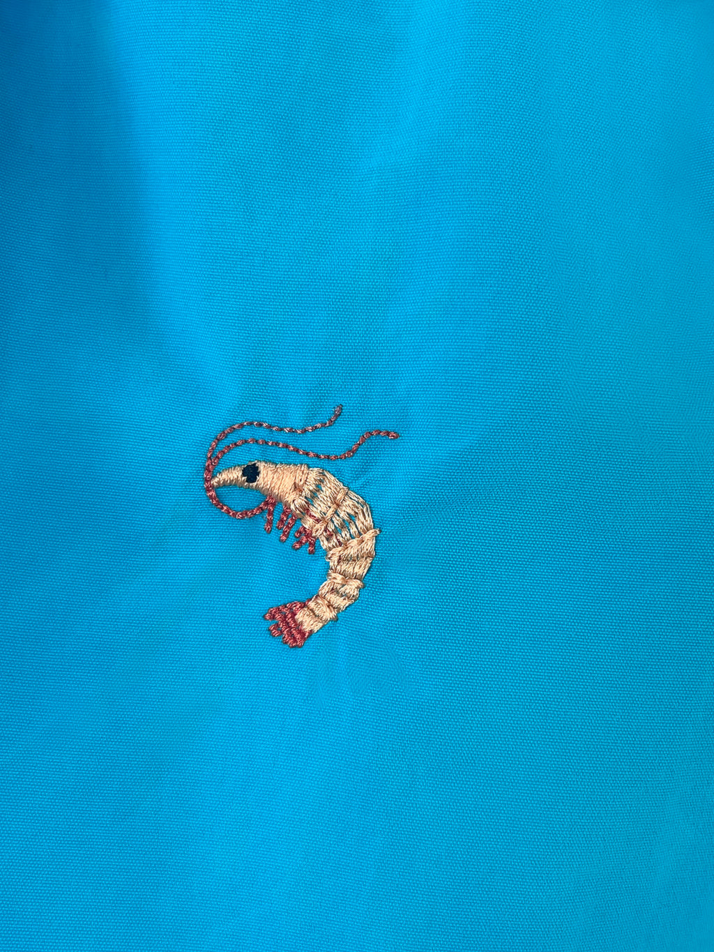Gold Edition Turquoise Mini Gamba