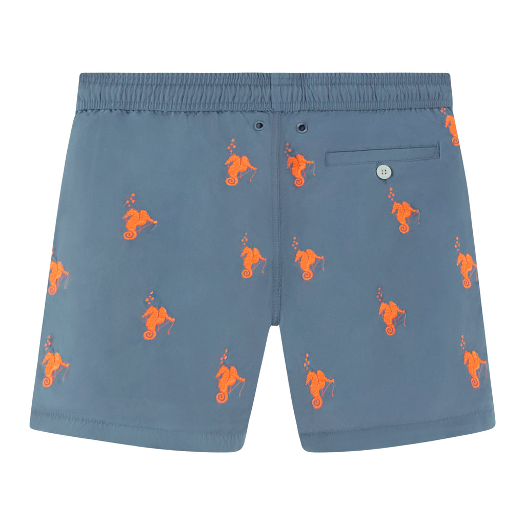 Swim Shorts Sea Horse Orange and Grey
