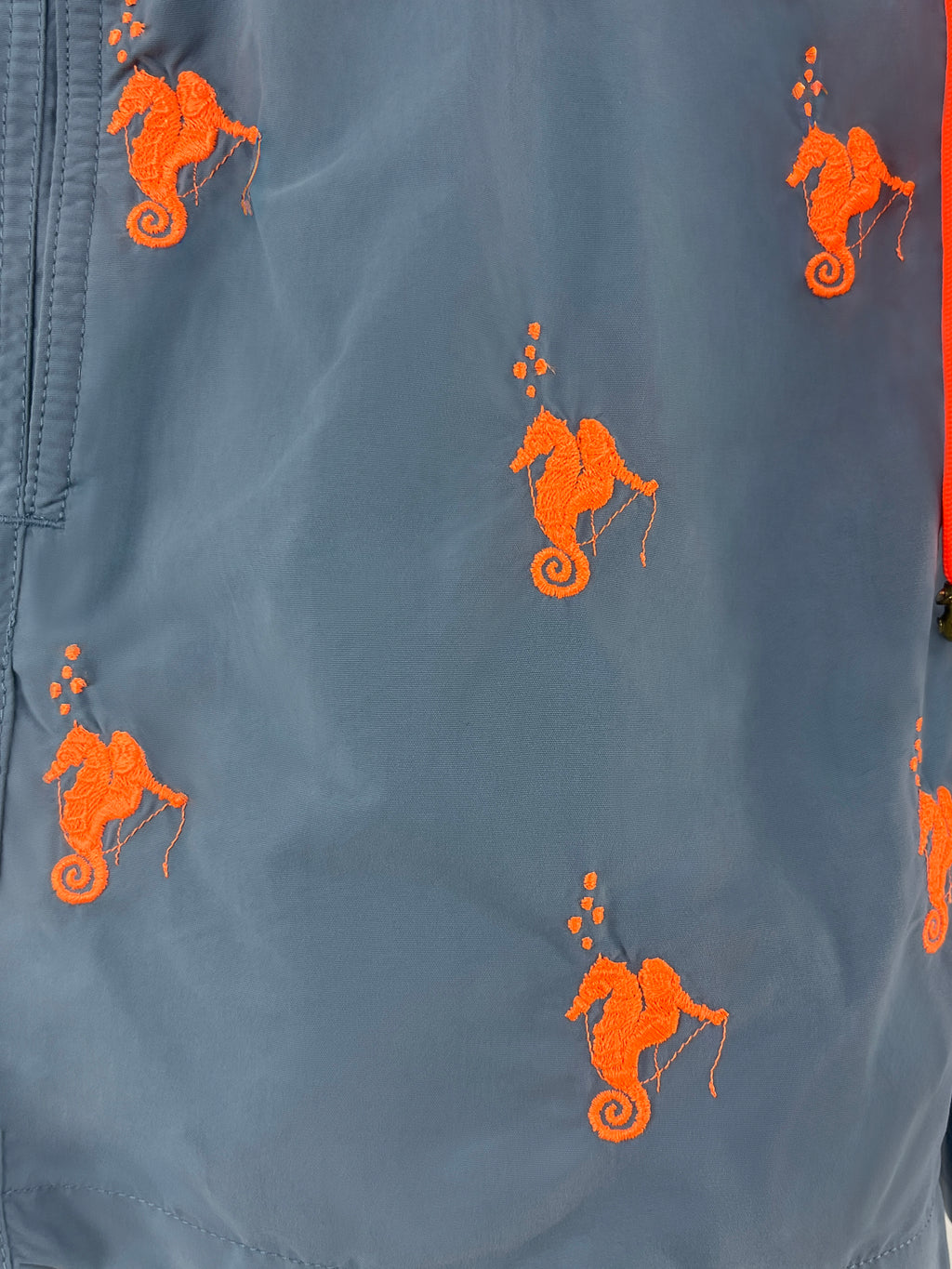 Swim Shorts Sea Horse Orange and Grey