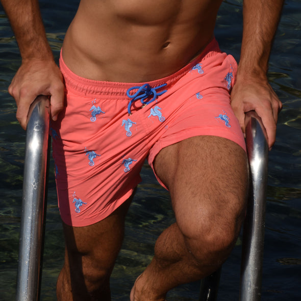 Swim Shorts Seahorse Rodeo Hot Coral